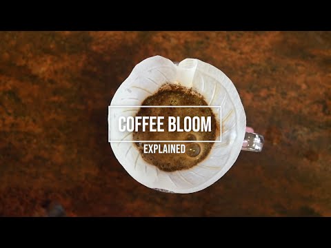 Coffee Bloom: Understanding what it is and how to take advantage of it