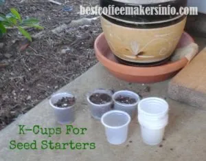 kcups to start seedlings