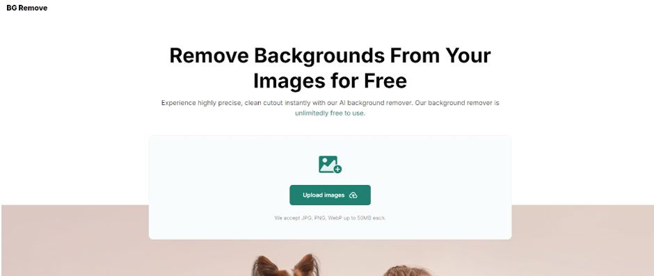 BG Remove Review: Free AI Background Remover That Simplifies Your Workflow