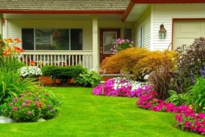 Enhance Your Yard's Appeal with Tree Fertilization, Trimming, and Removal Landscaping Services