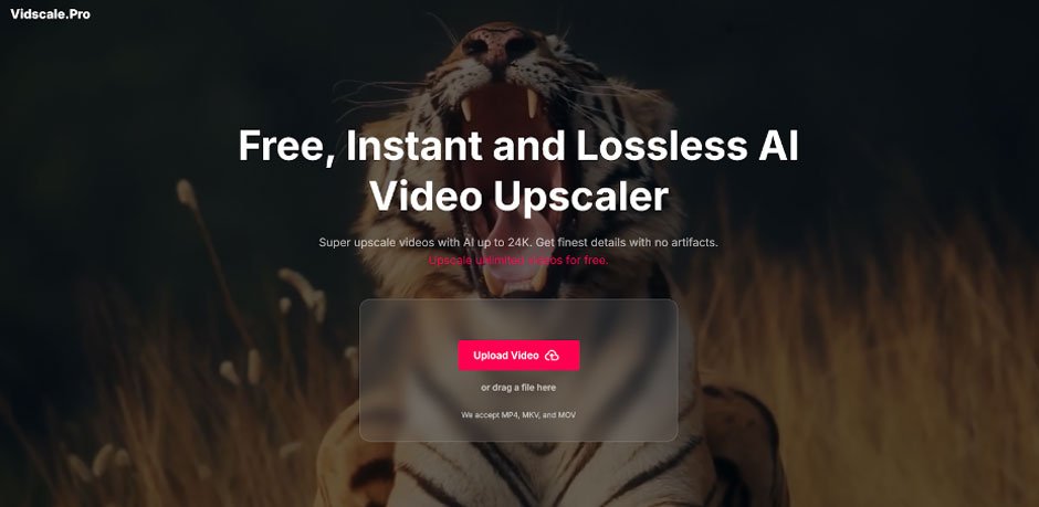 How to Use Vidscale.pro to Upscale Videos
