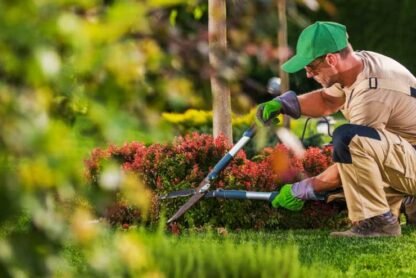 Reliable and Professional Landscaping Services for Your Yard in Canada