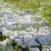 Understanding How Winter Weather Impacts Your Lawn