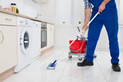 Professional Home Services for a Cleaner, Greener Home