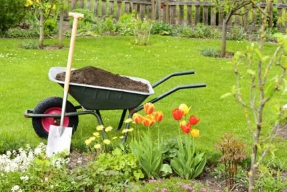 The Ultimate Guide to Building Healthy Soil for a Thriving Garden