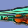 5 Fundamental Tips to Safeguard Your Important Violin Case