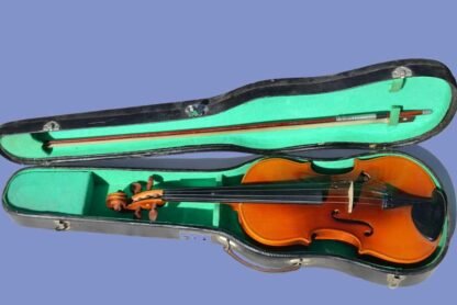 5 Fundamental Tips to Safeguard Your Important Violin Case