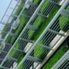 Artificial Wall Gardens: A Stylish and Low-Maintenance Greenery Solution