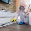 Effective Strategies for Pest Control: Safeguard Your Home and Health