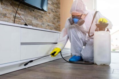 Effective Strategies for Pest Control: Safeguard Your Home and Health