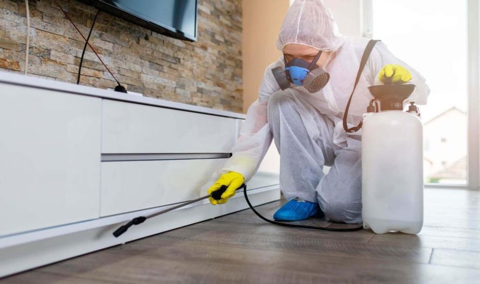 Effective Strategies for Pest Control: Safeguard Your Home and Health