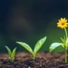 The Importance Of Nurturing Lasting Connections In E-Commerce