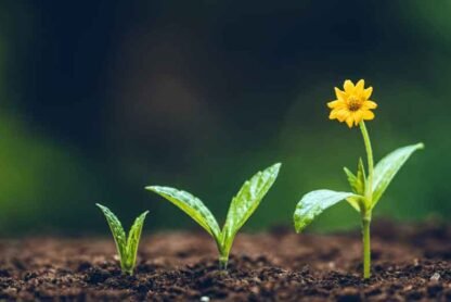 The Importance Of Nurturing Lasting Connections In E-Commerce