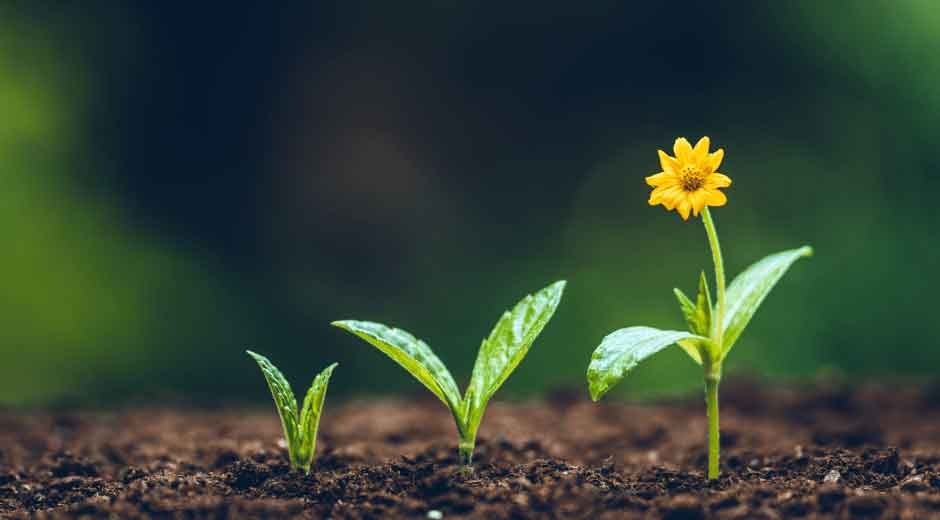 The Importance Of Nurturing Lasting Connections In E-Commerce