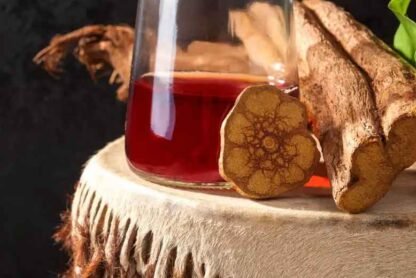 Burned Out? Why Ayahuasca Could Be the Retreat You Need